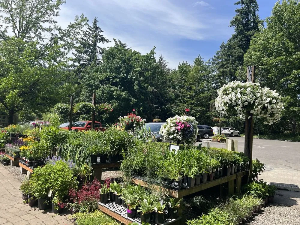 Custom outdoor landscaping for outdoor upgrades across Issaquah, WA - Squak Mt Greenhouses & Nursery