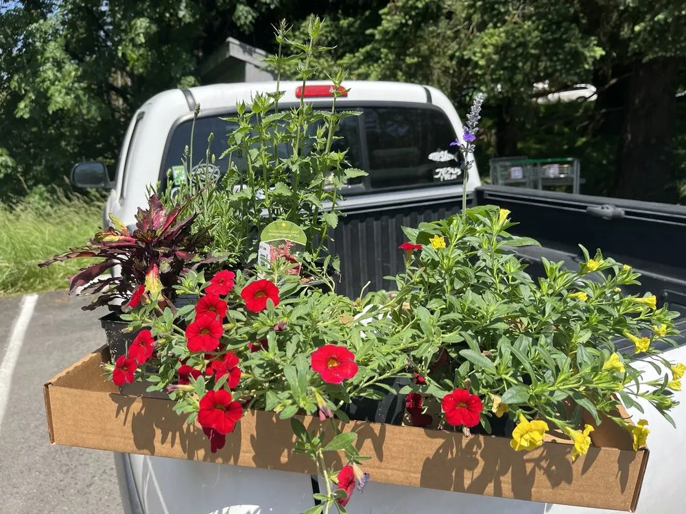 Top-rated residential landscaping with custom design in Issaquah, WA by Squak Mt Greenhouses & Nursery