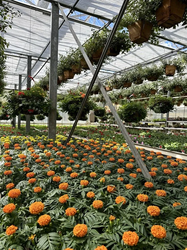 Custom residential landscaping with custom design in Issaquah, WA by Squak Mt Greenhouses & Nursery