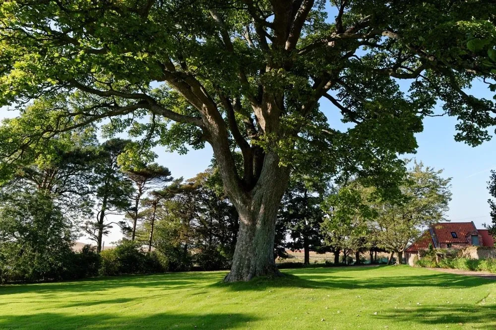 Reliable residential landscaping in Lemoyne, PA - Square and Plumb Property Care