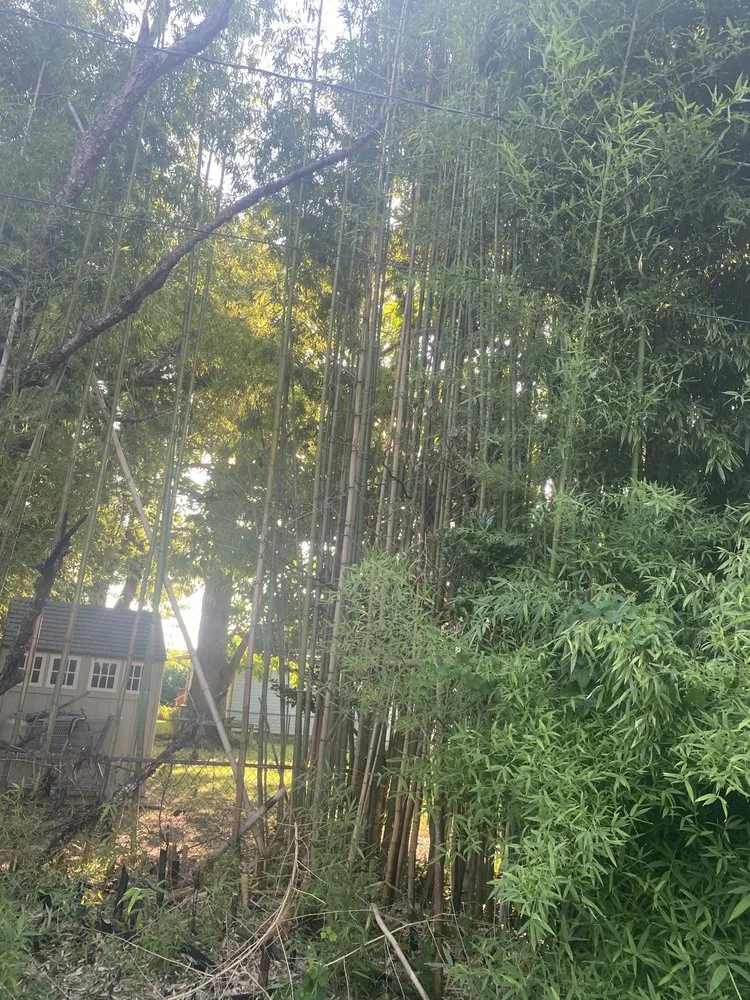 Affordable residential landscaping in Hampton, VA by Square By Design