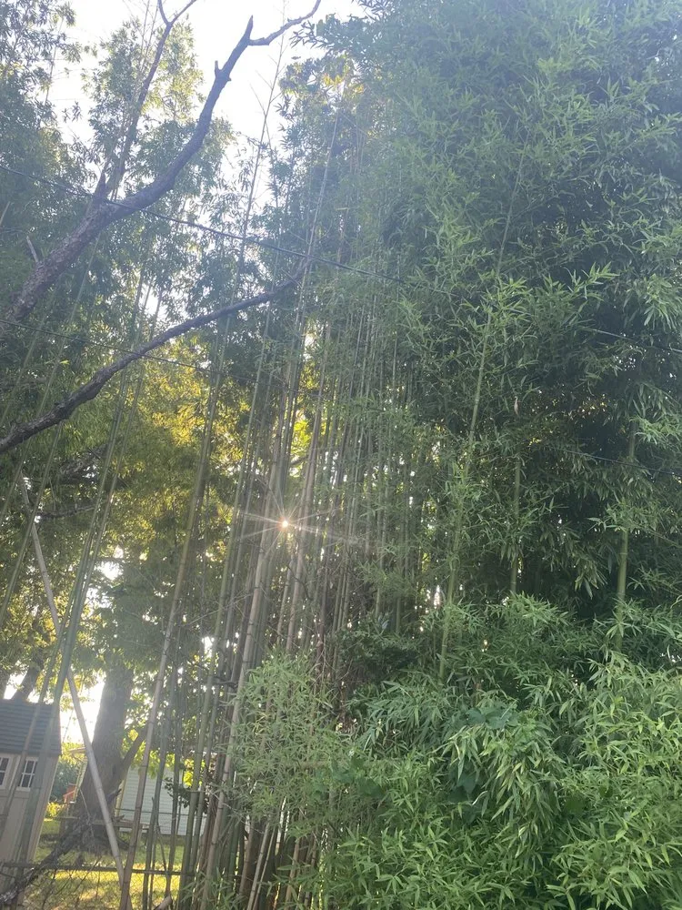 Local garden landscaping experts serving Hampton, VA - Square By Design