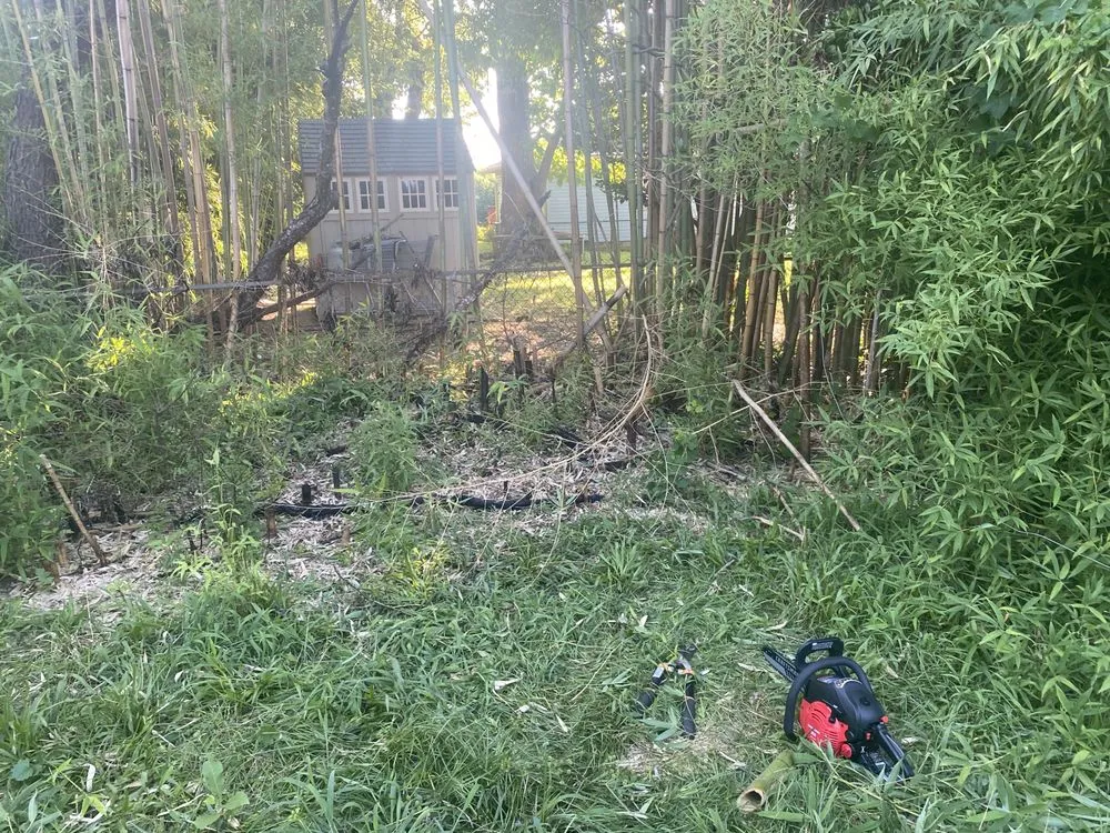 Reliable lawn mowing service in Hampton, VA by Square By Design