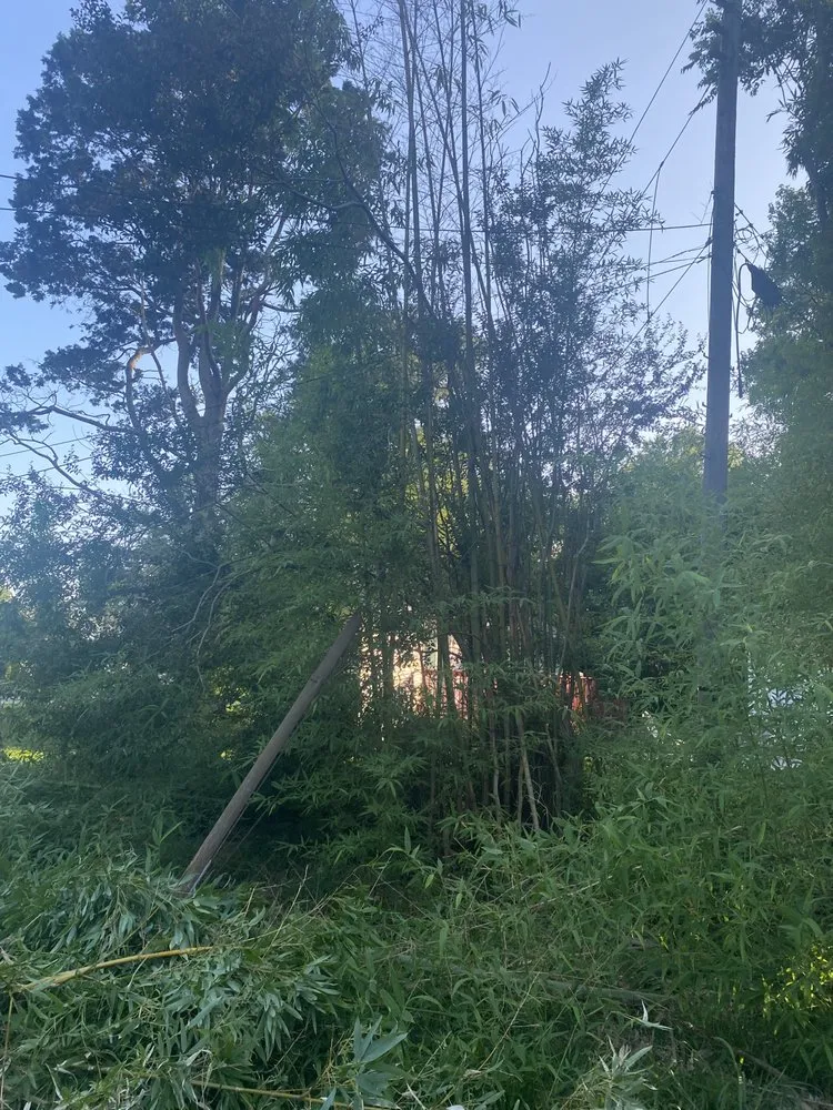 Trusted lawn mowing service for year-round maintenance across Hampton, VA - Square By Design