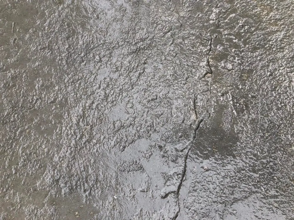 Trusted lawn care service experts serving Cashmere, WA - Square G Construction and Landscaping