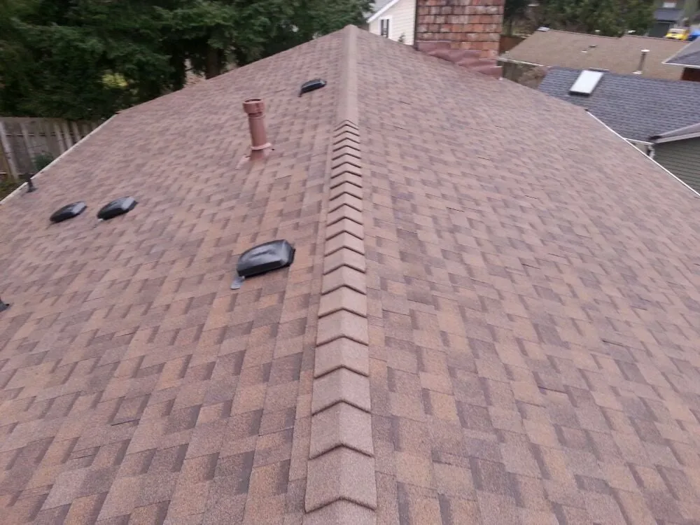 Expert yard maintenance experts serving Snohomish, WA - Square One Home Services