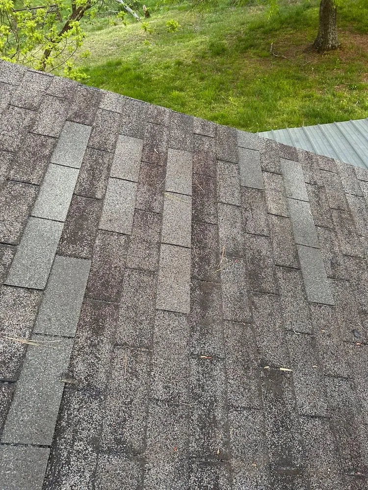 Trusted residential landscaping near you in Paris, TN by Square One Maintenance