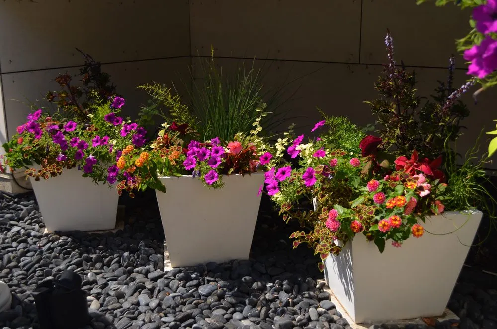 Custom lawn mowing service for year-round maintenance across Chicago, IL - Square Root Garden Design