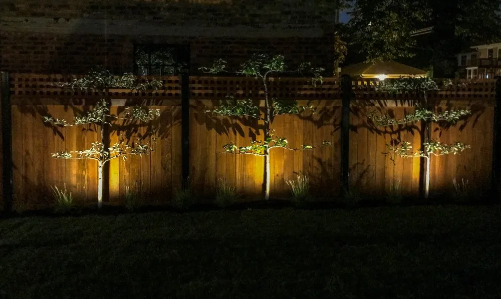 Professional yard cleanup service in Chicago, IL by Square Root Garden Design