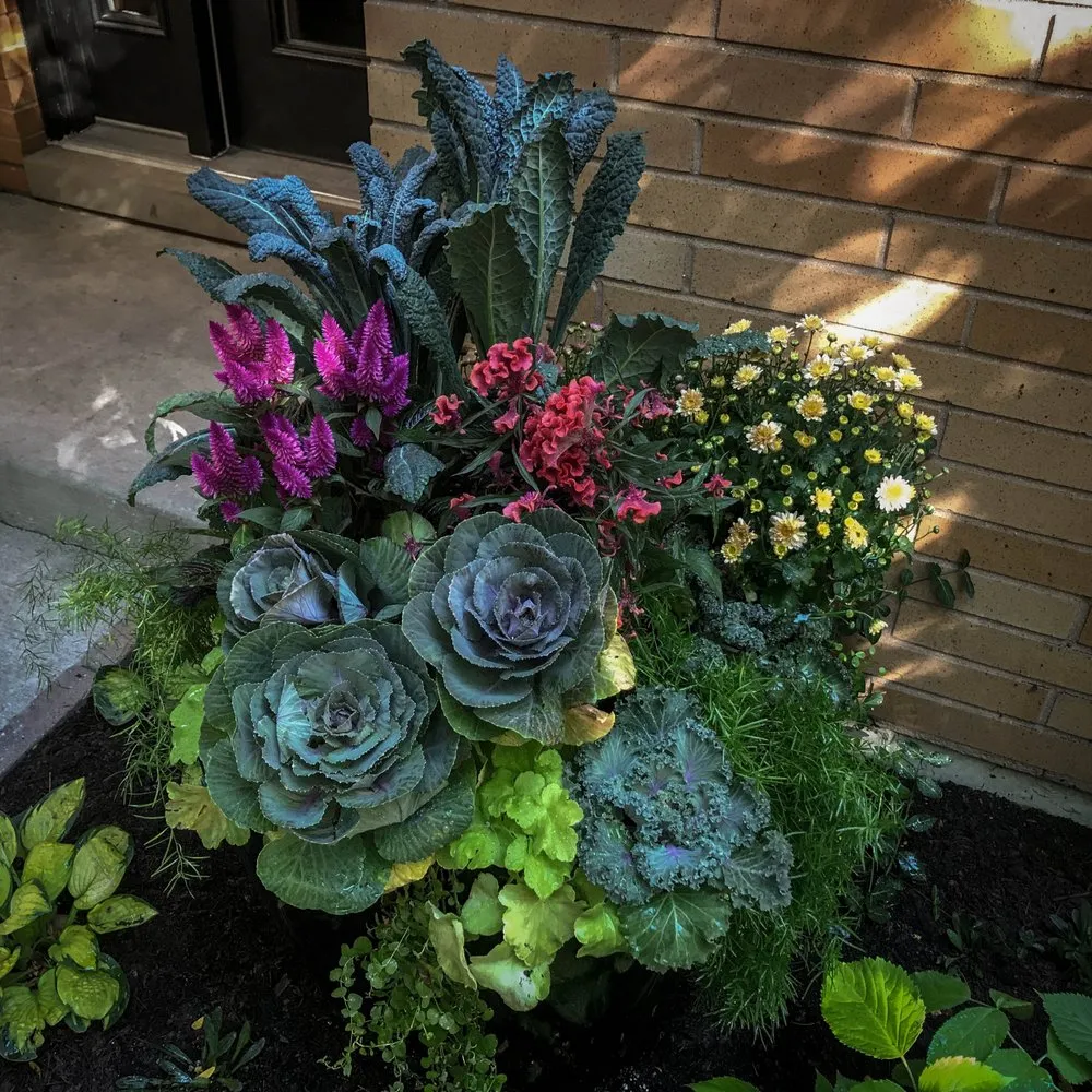 Expert landscaping services in Chicago, IL by Square Root Garden Design