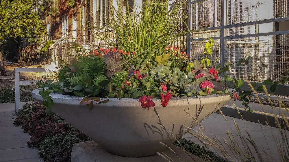 Top-rated yard maintenance for beautiful yards in Chicago, IL by Square Root Garden Design