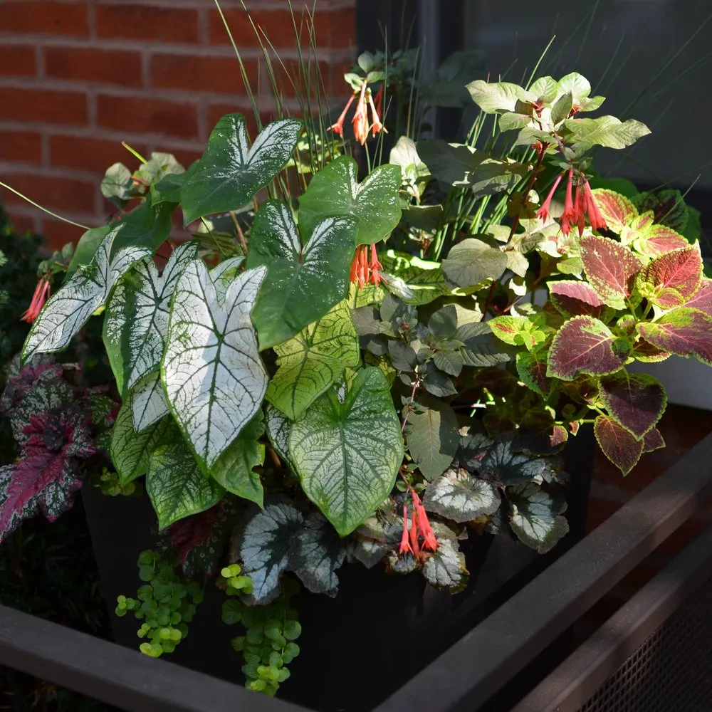 Top-rated landscaping services in Chicago, IL by Square Root Garden Design