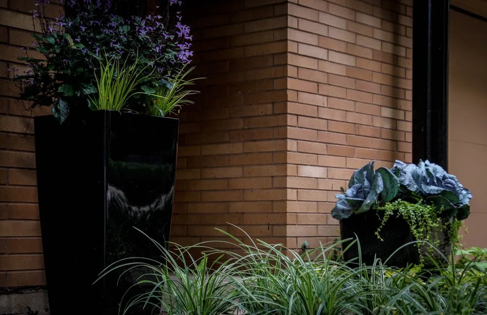 Expert lawn care service for residential properties across Chicago, IL - Square Root Garden Design