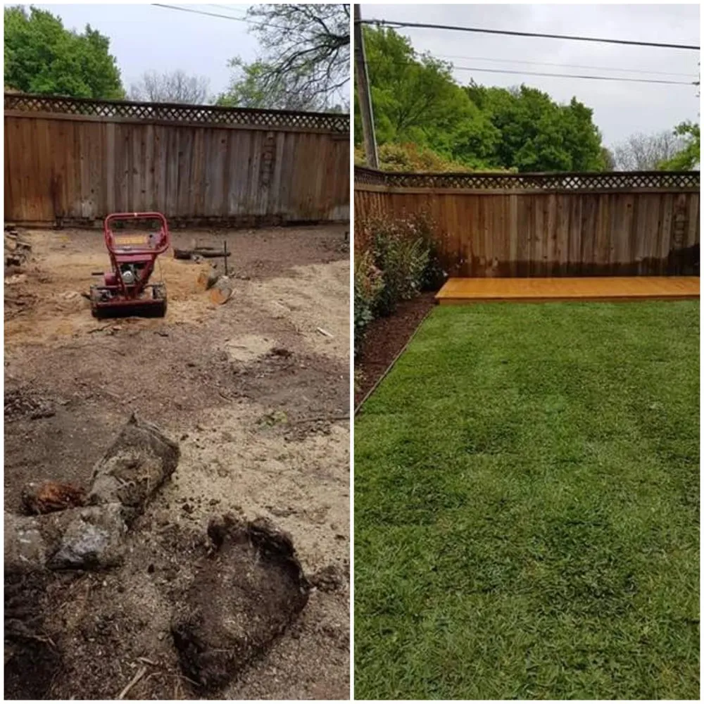 Top-rated residential landscaping in Garland, TX - Square Roots Landscaping