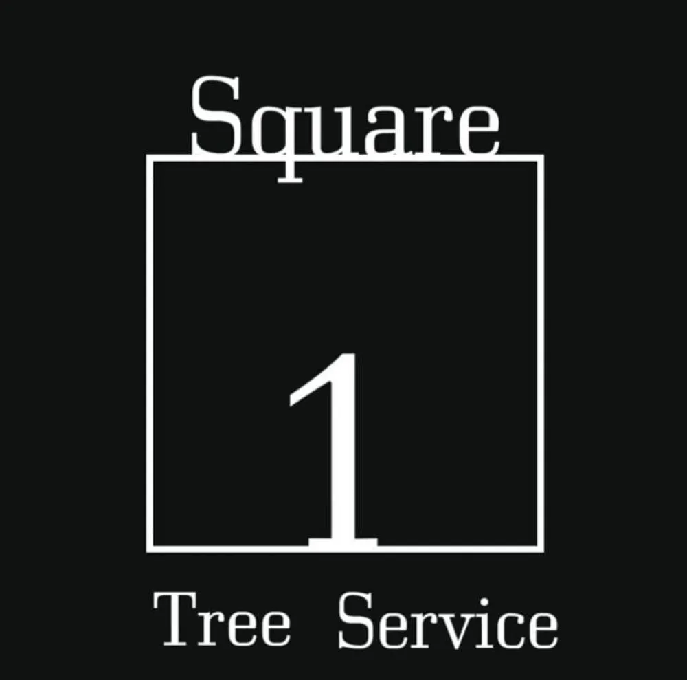 Reliable outdoor landscaping experts serving Trenton, FL - Square1 Tree service