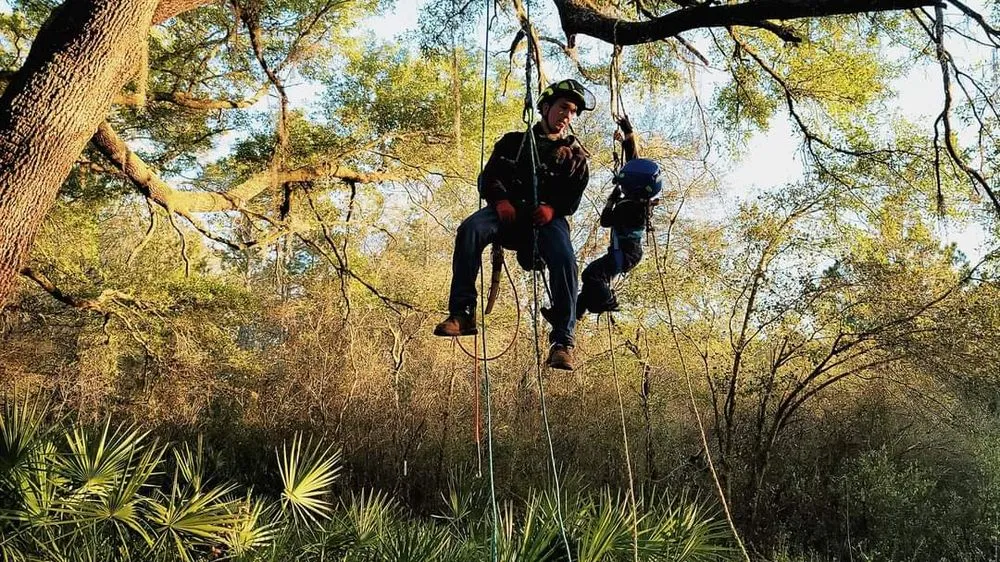 Local garden landscaping for year-round maintenance across Trenton, FL - Square1 Tree service