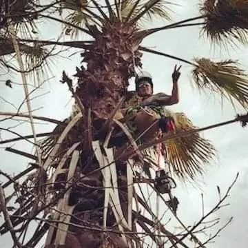 Reliable landscape design in Trenton, FL - Square1 Tree service