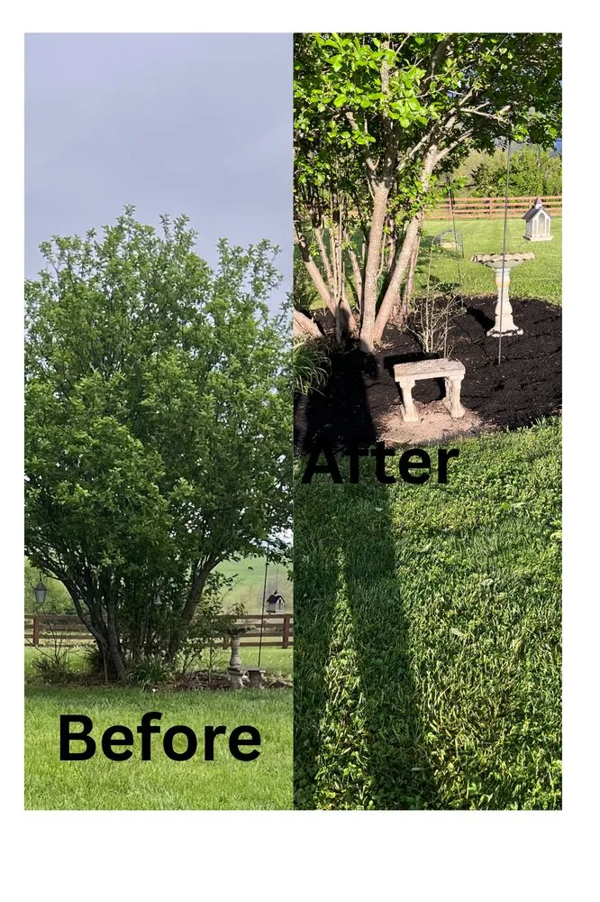 Professional lawn mowing service in Danville, KY - Squared Away Lawn Care