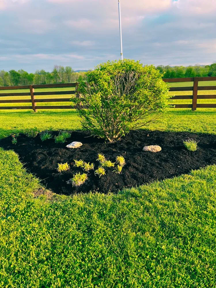 Local landscaping services for beautiful yards in Danville, KY by Squared Away Lawn Care