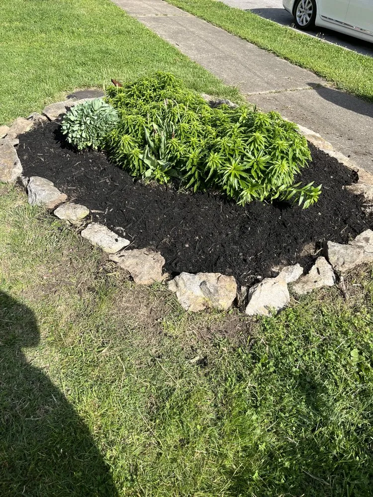 Reliable lawn mowing service experts serving Danville, KY - Squared Away Lawn Care