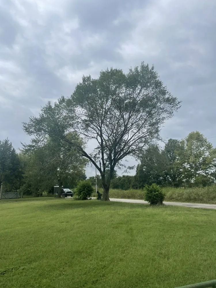 Affordable landscaping services in Sand Springs, OK by Squared Away Lawn Service