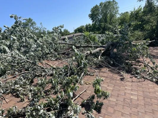 Squared Away Lawn Service