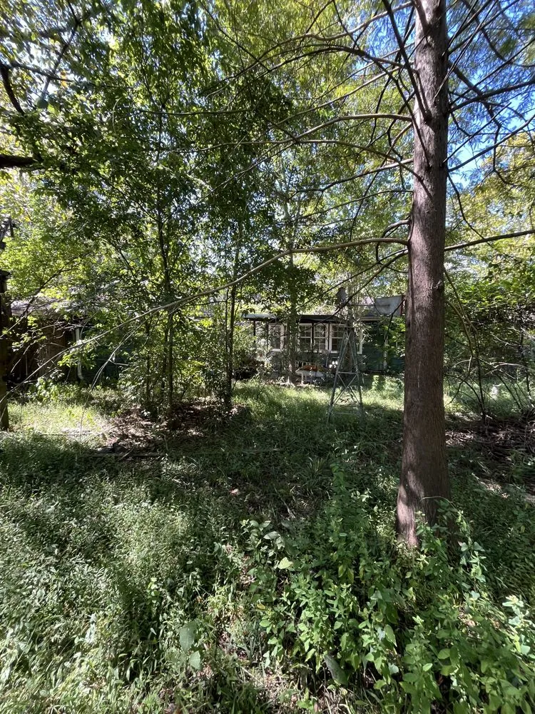 Expert yard maintenance for year-round maintenance in Conroe, TX by Squared Away Maintenance