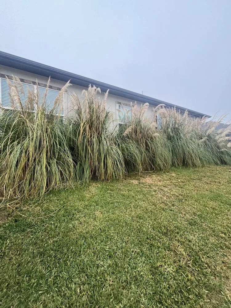 Affordable garden landscaping in Conroe, TX by Squared Away Maintenance