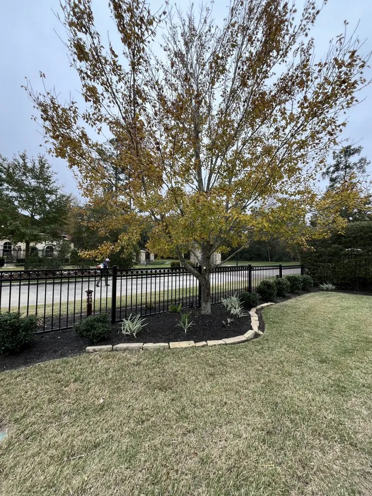 Professional yard cleanup service for homes in Conroe, TX by Squared Away Maintenance