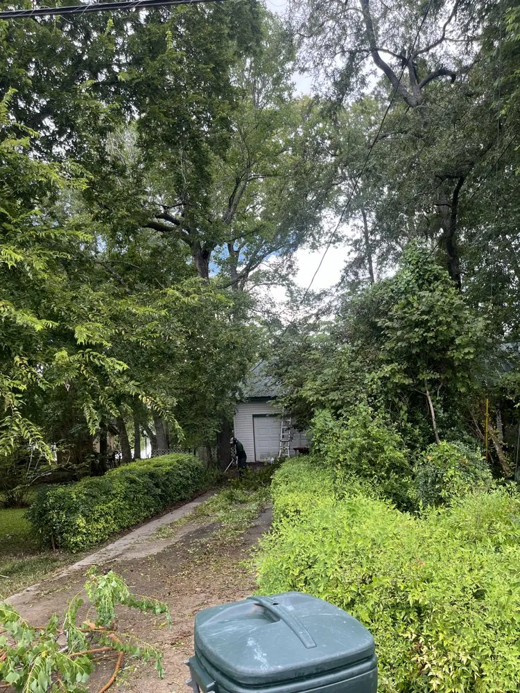 Local lawn mowing service in Conroe, TX by Squared Away Maintenance