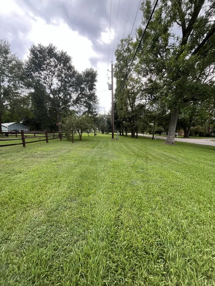 Reliable outdoor landscaping with custom design in Conroe, TX by Squared Away Maintenance