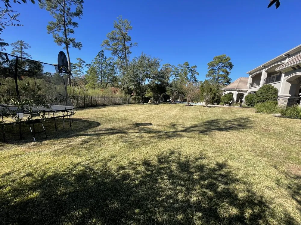 Affordable yard maintenance in Conroe, TX by Squared Away Maintenance