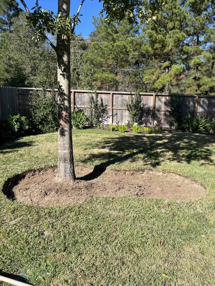 Expert lawn care service for homes across Conroe, TX - Squared Away Maintenance