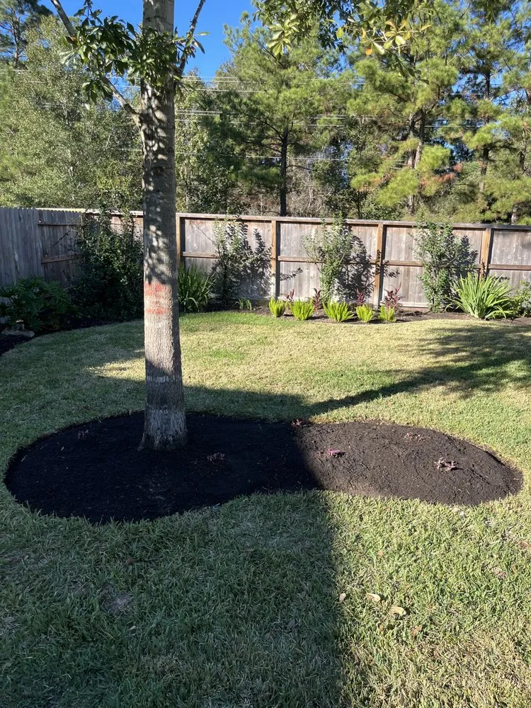 Affordable garden landscaping in Conroe, TX - Squared Away Maintenance