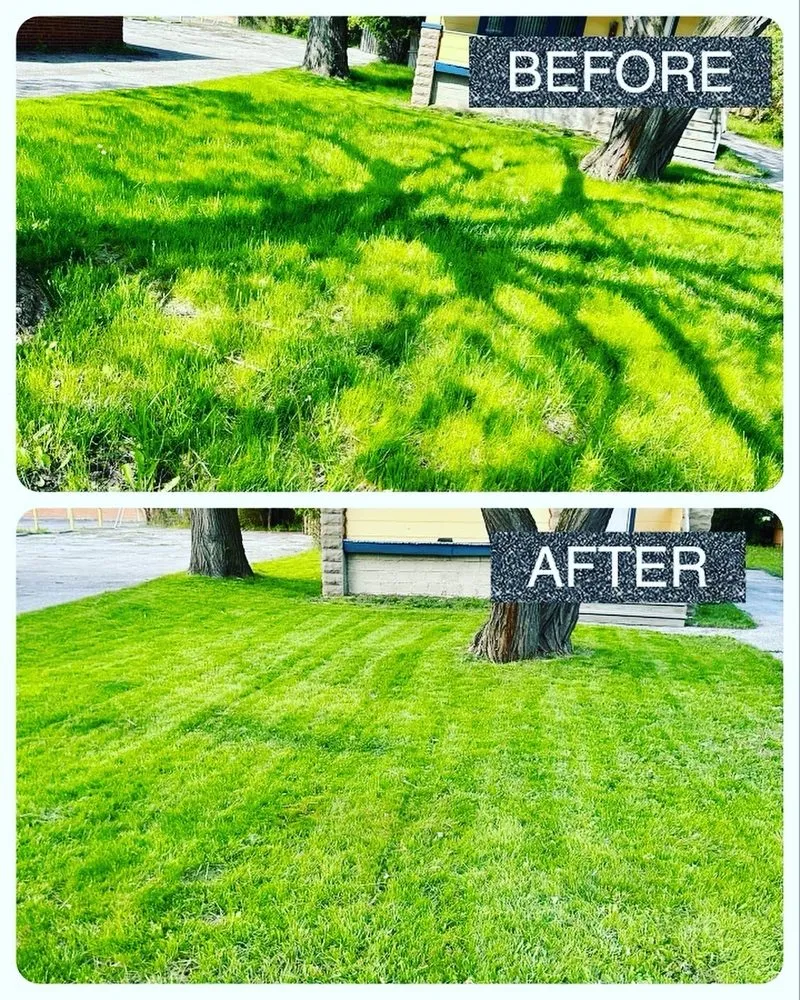 Professional residential landscaping near you across Euclid, OH - Squared Landscaping Company