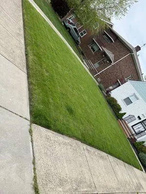 Squared Landscaping Company Logo