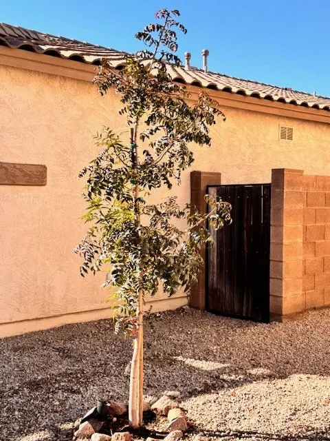 Custom outdoor landscaping experts serving Queen Creek, AZ - Squatch Lawn Service by OWM