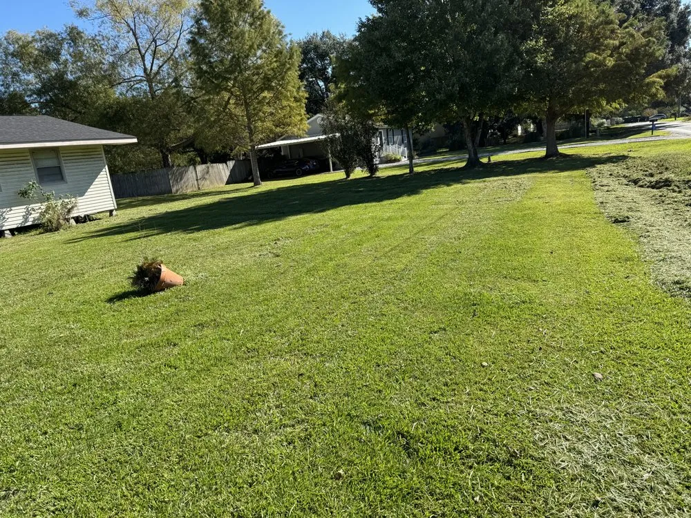Expert yard cleanup service in Breaux Bridge, LA by Squatted Cuts