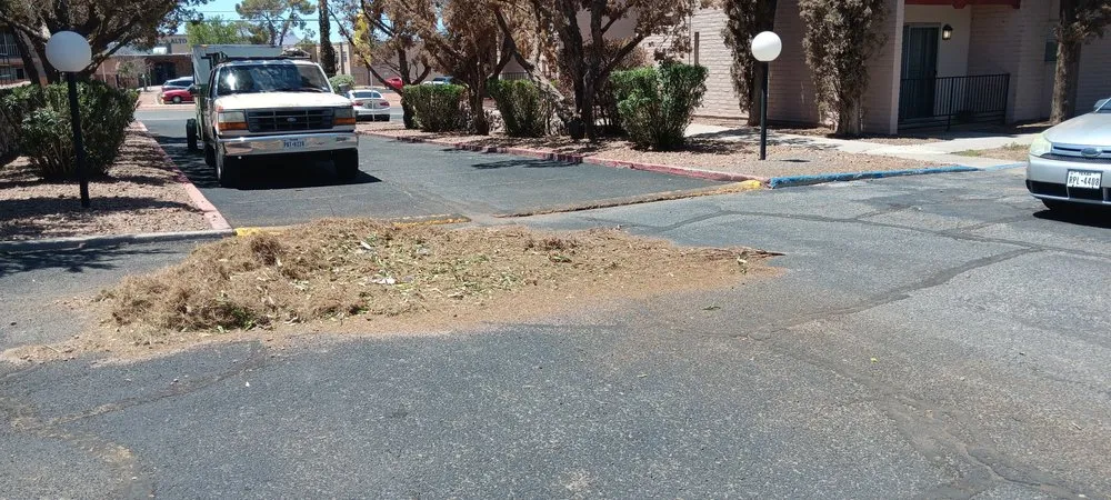 Top-rated garden landscaping in El Paso, TX - Squeaky Clean