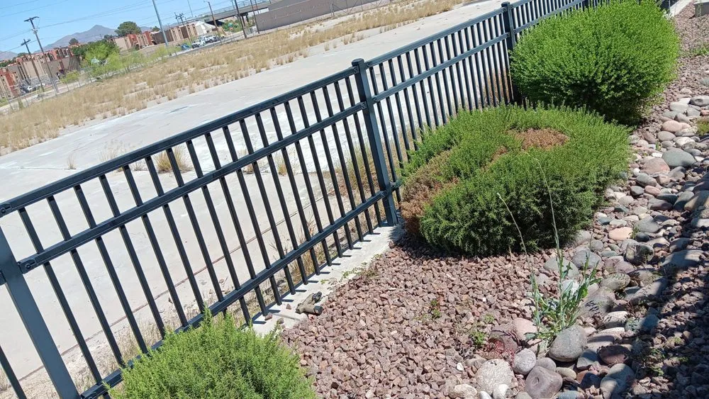 Local lawn mowing service in El Paso, TX by Squeaky Clean