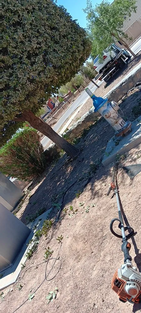 Trusted landscape design experts serving El Paso, TX - Squeaky Clean