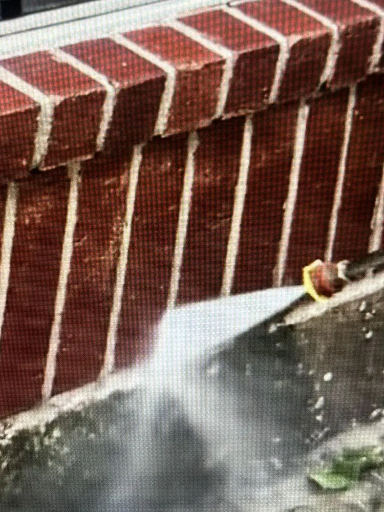 Professional landscape design for outdoor upgrades across Savannah, GA - Squeaky Clean Soft Washing & Lawncare Service