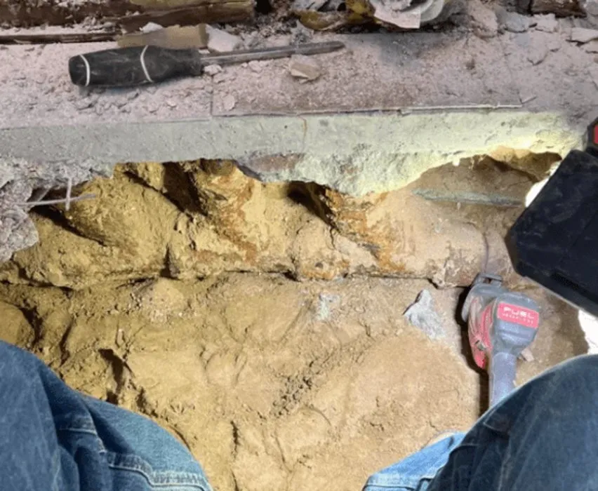 Custom lawn care service for year-round maintenance in Savannah, GA by Squeaky Clean Soft Washing & Lawncare Service