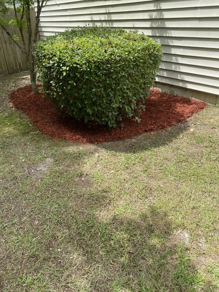 Reliable outdoor landscaping in Savannah, GA - Squeaky Clean Soft Washing & Lawncare Service