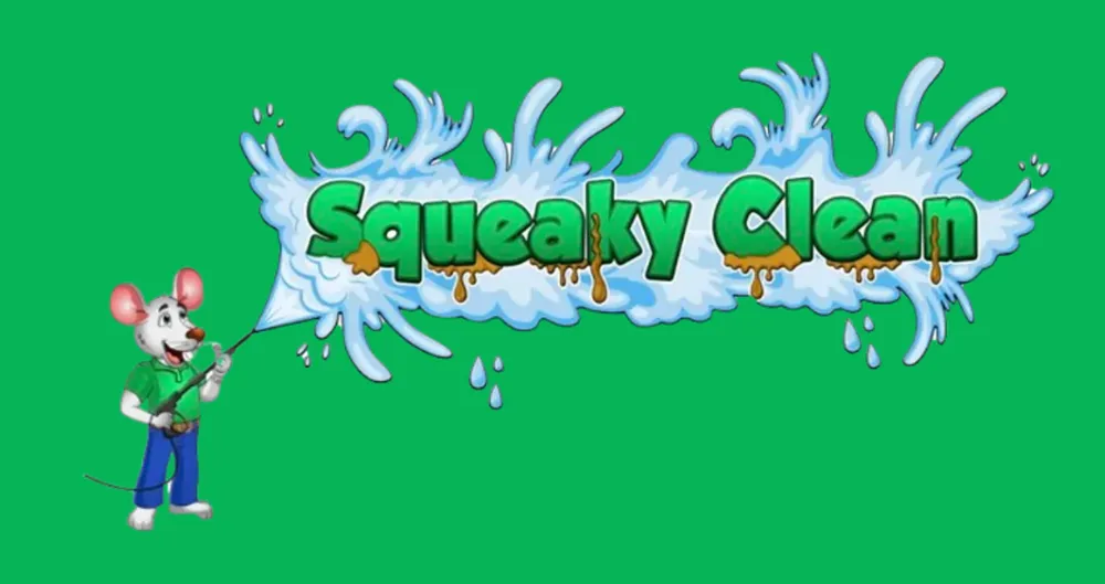 Affordable landscape design in Savannah, GA - Squeaky Clean Soft Washing & Lawncare Service