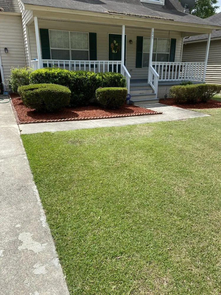 Local yard maintenance experts serving Savannah, GA - Squeaky Clean Soft Washing & Lawncare Service