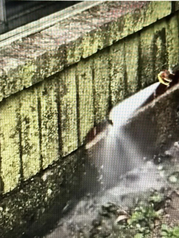 Top-rated lawn care service experts serving Savannah, GA - Squeaky Clean Soft Washing & Lawncare Service