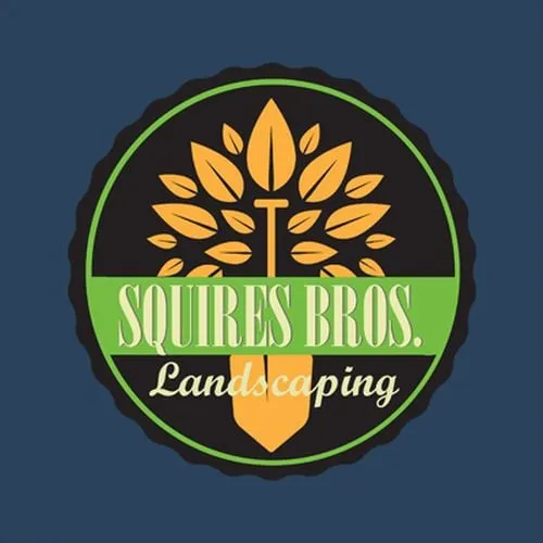 Expert lawn care service for beautiful yards across Tucson, AZ - Squires Bros Landscaping