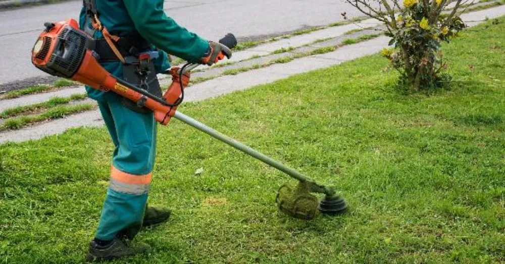 Top-rated landscape installation near you in Uhland, TX by Squirrel Landscaping