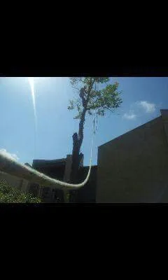 Local residential landscaping experts serving Wichita, KS - Squirrels Lawn and Tree Service